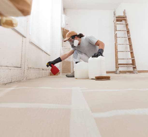  New Paris, OH Mold Removal Pros